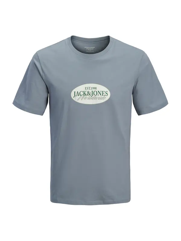 Jack & Jones Plus Jack & Jones Plus Majica 'JORCATSKILLS'  opal / jelka / pastelno zelena