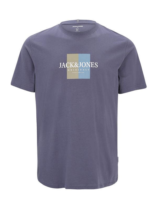 Jack & Jones Plus Jack & Jones Plus Majica 'JORFREDERIKSBERG'  pesek / golobje modra / svetlo modra / bela