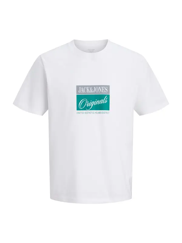 Jack & Jones Plus Jack & Jones Plus Majica 'JORHyeres'  siva / smaragd / bela