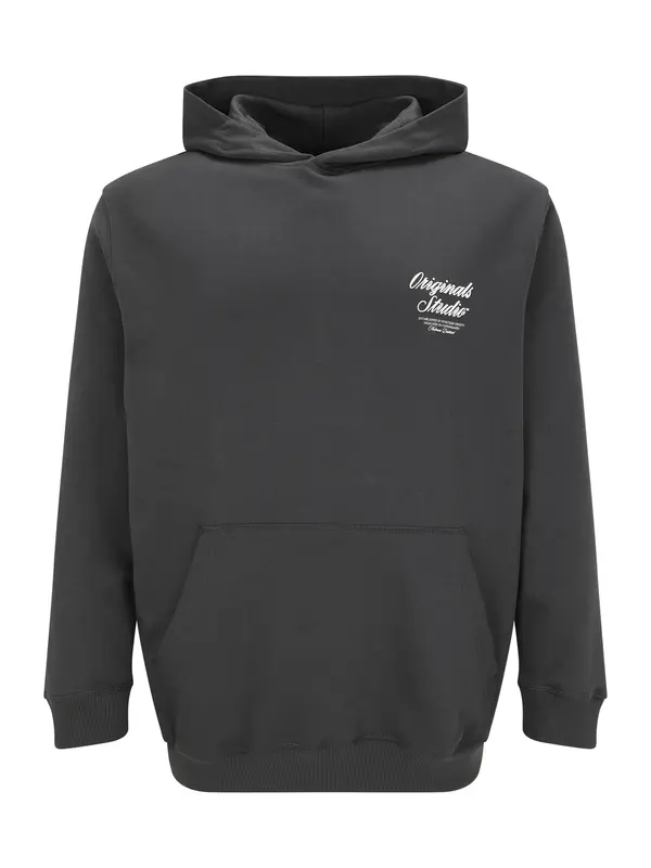 Jack & Jones Plus Jack & Jones Plus Majica 'JORNorrebro'  bazaltno siva / bela