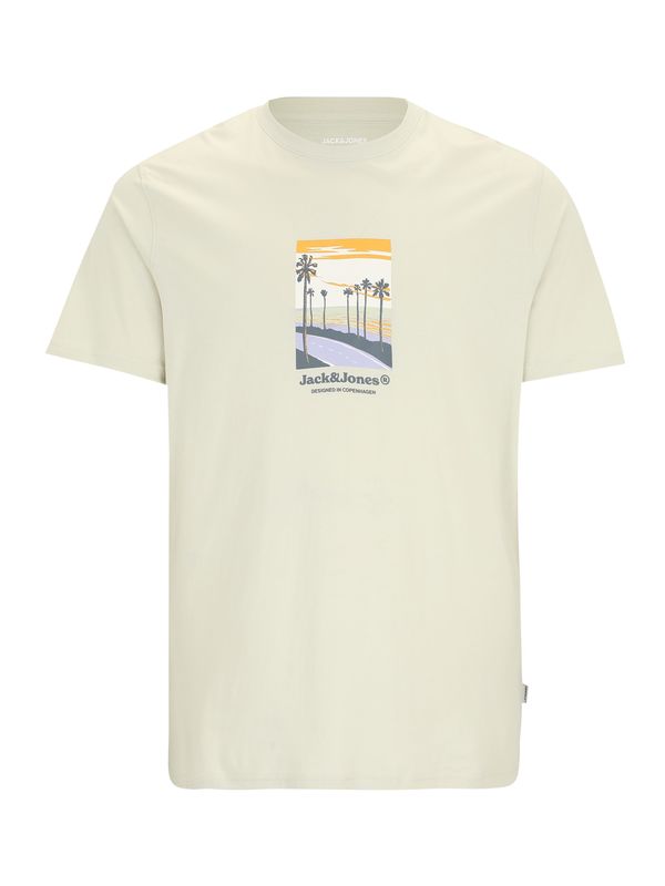 Jack & Jones Plus Jack & Jones Plus Majica 'JORSPLIT'  mornarska / golobje modra / kari / pastelno zelena