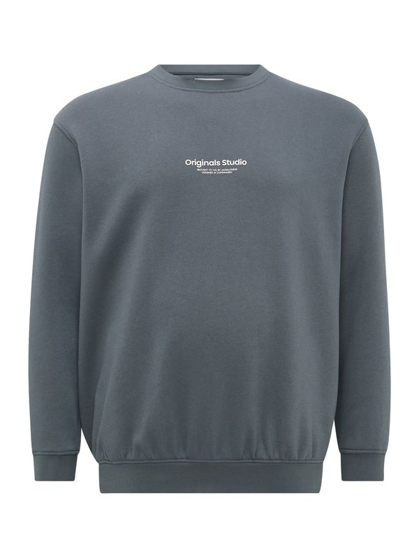 Jack & Jones Plus Jack & Jones Plus Majica 'JORVESTERBRO'  golobje modra / bela