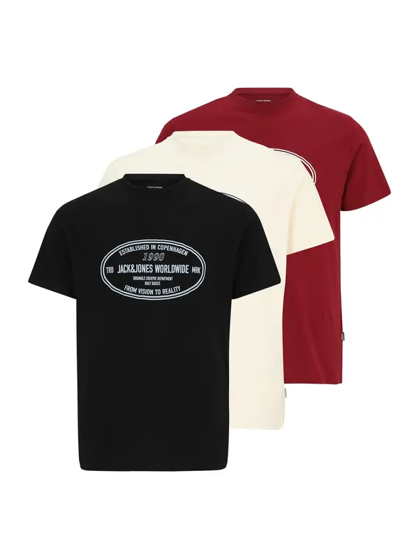 Jack & Jones Plus Jack & Jones Plus Majica 'JORYORK'  siva / temno rdeča / črna / volneno bela