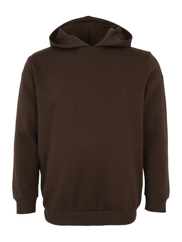 Jack & Jones Plus Jack & Jones Plus Majica 'JPRBLAANDREW'  bež / temno rjava