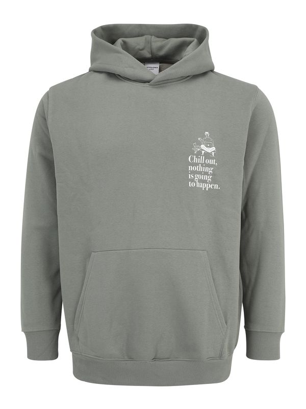 Jack & Jones Plus Jack & Jones Plus Majica 'JPRBLAJULIAN'  pastelno zelena / bela