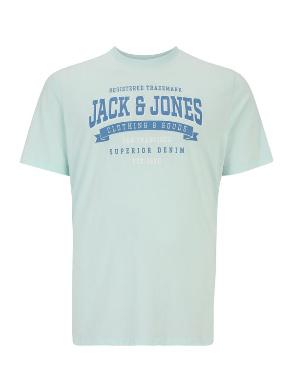 Jack & Jones Plus Jack & Jones Plus Majica  svetlo modra / pastelno zelena / bela