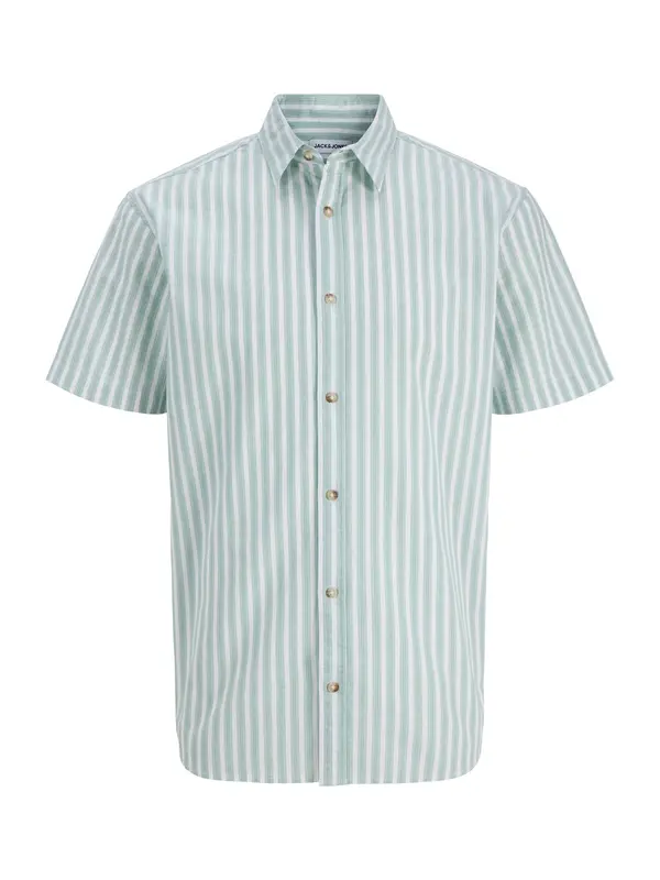 JACK & JONES JACK & JONES Srajca 'JJCHAD'  meta / črna / bela