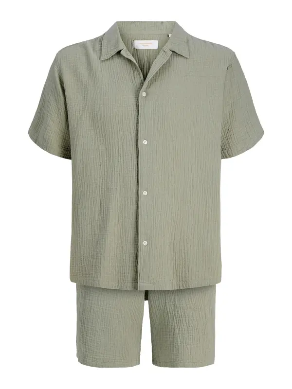 JACK & JONES JACK & JONES Srajca 'JORNANTUCKET'  pastelno zelena