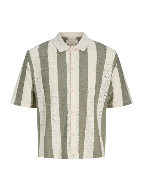 JACK & JONES JACK & JONES Srajca 'JORTYLER'  bež / pastelno zelena