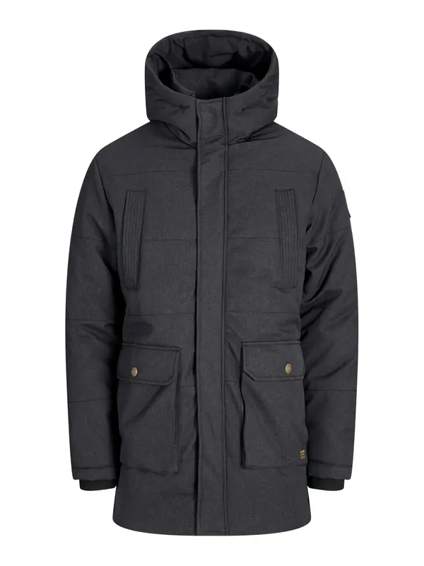JACK & JONES JACK & JONES Zimska jakna 'FINN'  pegasto črna