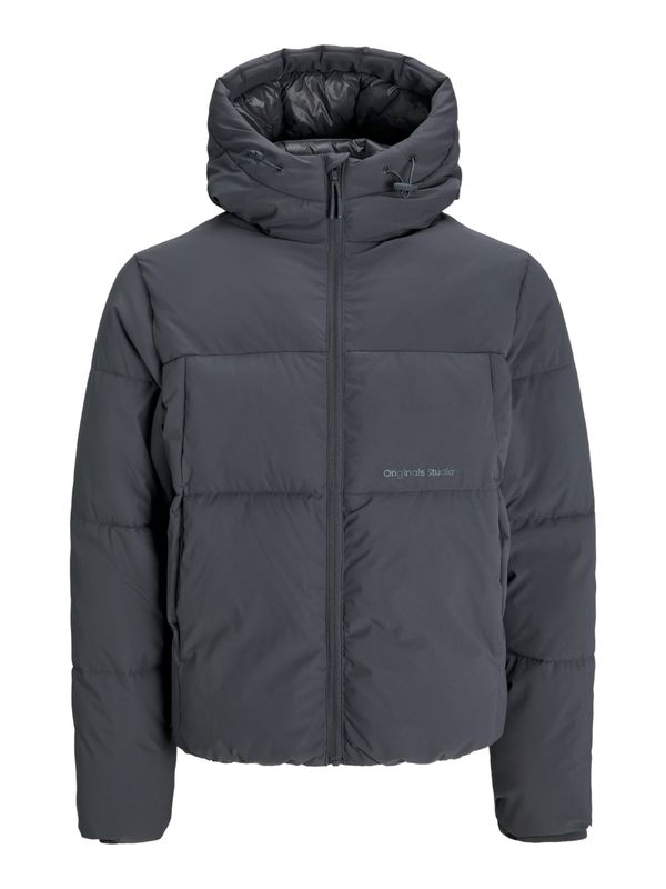 JACK & JONES JACK & JONES Zimska jakna 'JORVESTERBRO'  temno siva