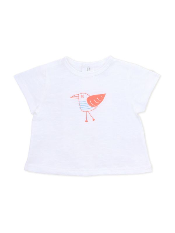 KNOT KNOT Majica  svetlo modra / svetlo rdeča / bela