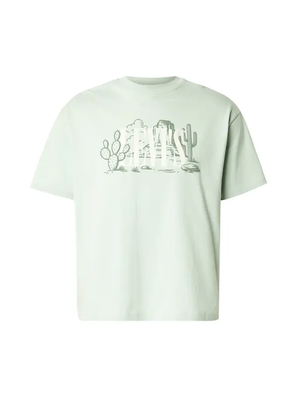 LEVI'S ® LEVI'S ® Majica 'CACTUS'  oliva / pastelno zelena / svetlo zelena
