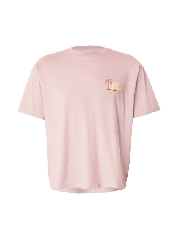 LEVI'S ® LEVI'S ® Majica 'Graphic Boxy Tee'  rjava / svetlo rumena / roza