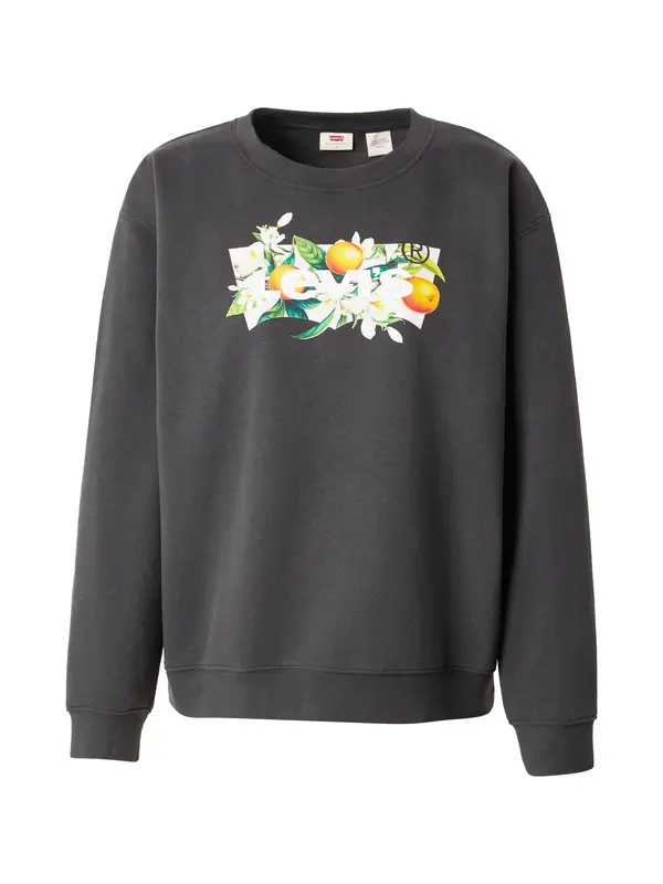 LEVI'S ® LEVI'S ® Majica 'Graphic Everyday Crewneck Sweatshirt'  antracit / zelena / oranžna / bela