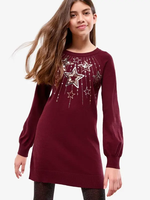 Lipsy Lipsy Obleka  bordo / srebrna