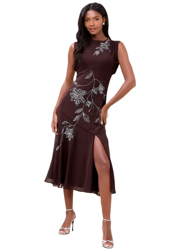 Lipsy Lipsy Obleka  temno rjava / bela