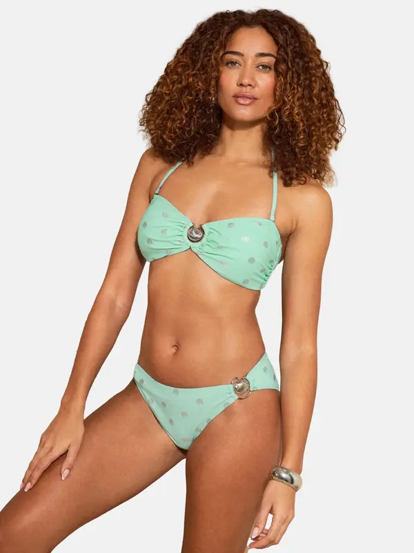 love & roses love & roses Bikini hlačke  kamela / meta