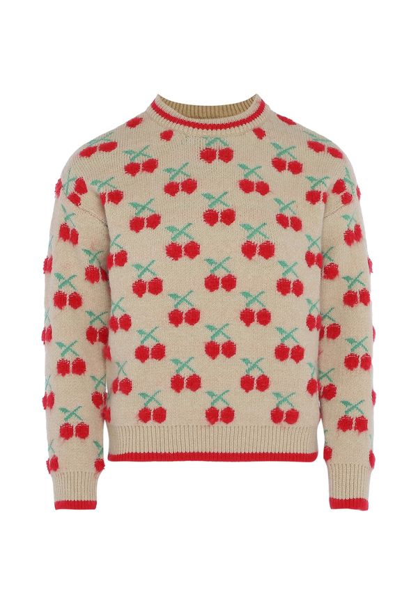 MYMO MYMO Pulover  temno bež / svetlo zelena / rdeča