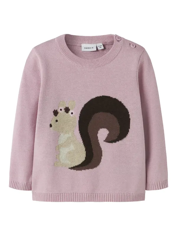 NAME IT NAME IT Pulover 'NBFSOURCE'  čokolada / pastelno zelena / majnica / črna