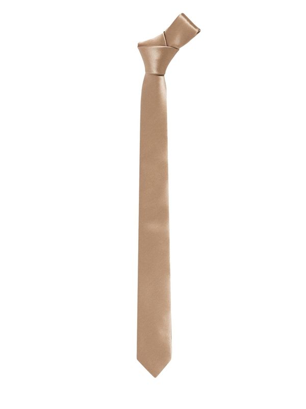 Next Next Dodatki k obleki  bakrena