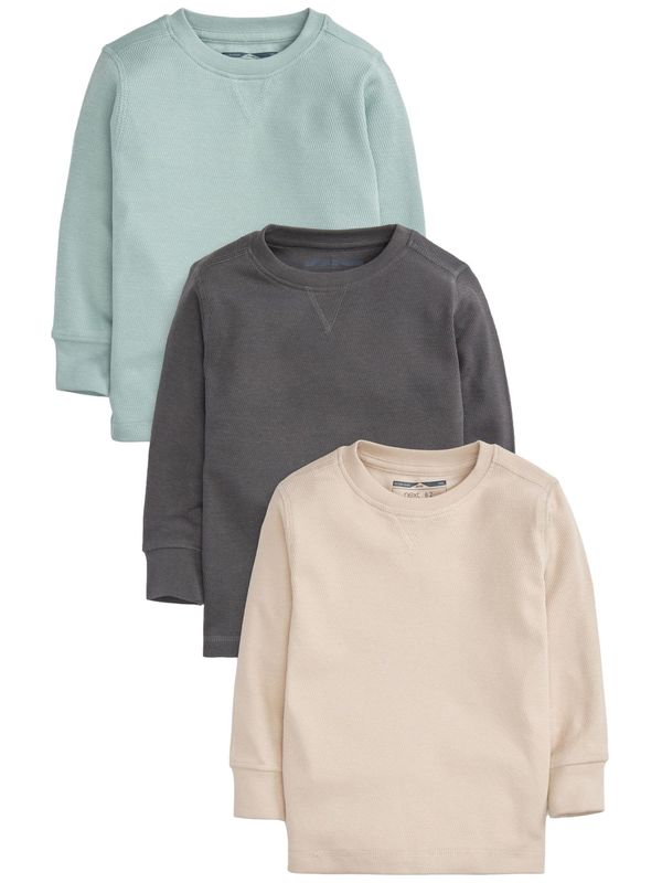 Next Next Majica  bež / svetlo modra / siva