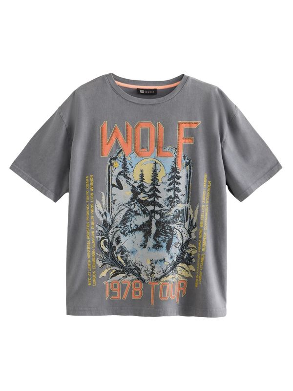 Next Next Majica  siva / mešane barve