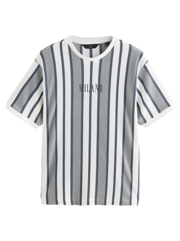 Next Next Majica  siva / temno siva / bela