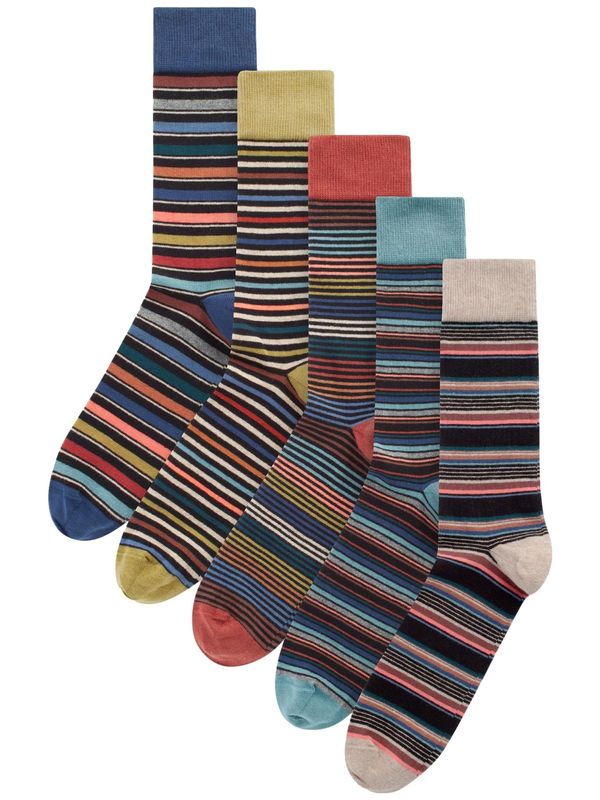 Next Next Nogavice  cijansko modra / temno modra / temno siva / trst / rdeča