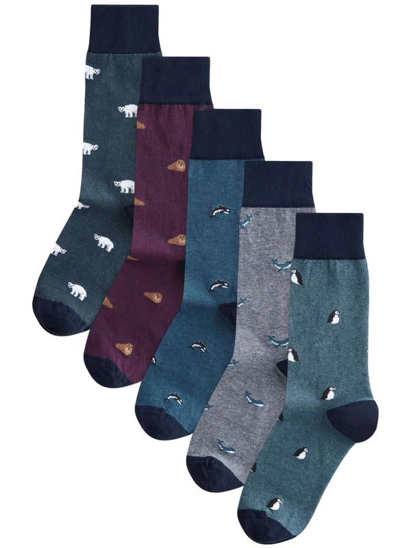 Next Next Nogavice  modra / marine / pegasto siva / ciklama