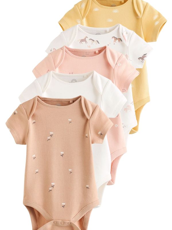 Next Next Pajac/bodi  ecru / svetlo rjava / rumena / roza / bela