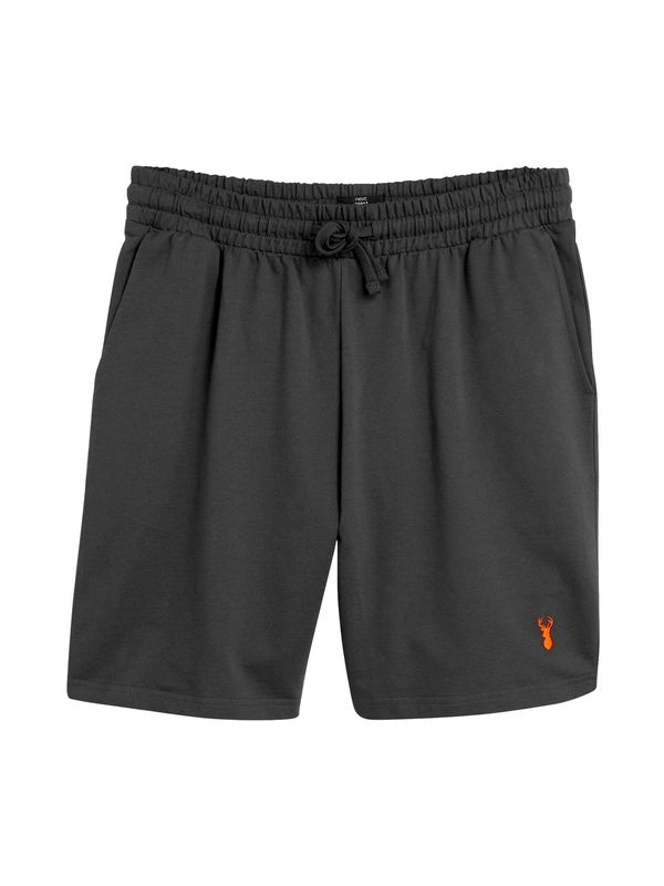 Next Next Spodnji del pižame  antracit