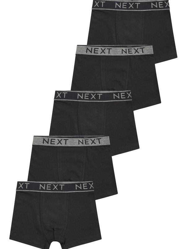 Next Next Spodnjice  siva / črna