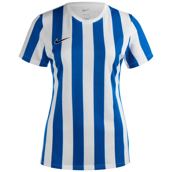 NIKE NIKE Dres 'Division IV'  temno modra / črna / bela