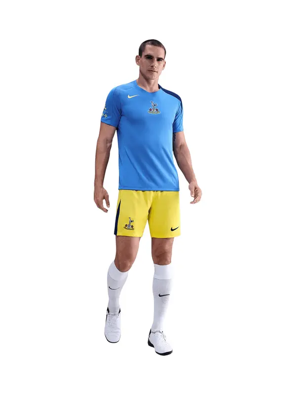 NIKE NIKE Športne hlače 'Tottenham Hotspur 2025/2026'  rumena / črna