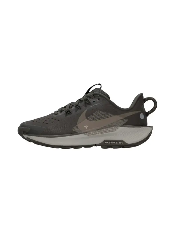 NIKE NIKE Športni čevelj 'Pegasus Trail 5'  brokat / temno rjava / grafit