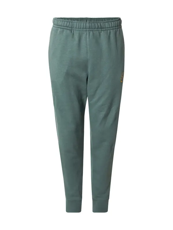 Nike Sportswear Nike Sportswear Hlače 'CLUB'  smaragd