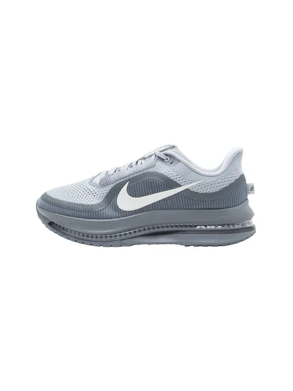 NIKE NIKE Tekaški čevelj 'Pegasus Premium'  svetlo siva / temno siva / bela