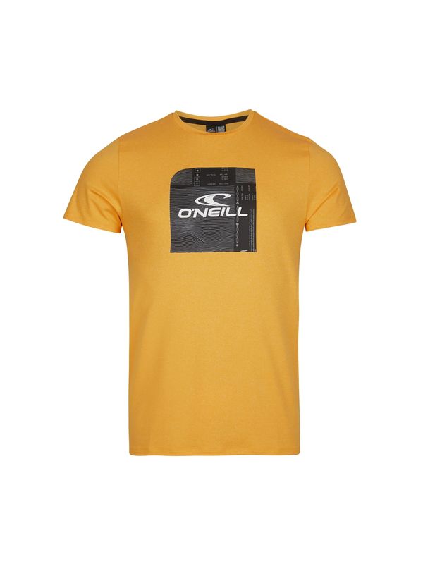 O'NEILL O'NEILL Funkcionalna majica 'Cube'  zlata / siva / črna / bela