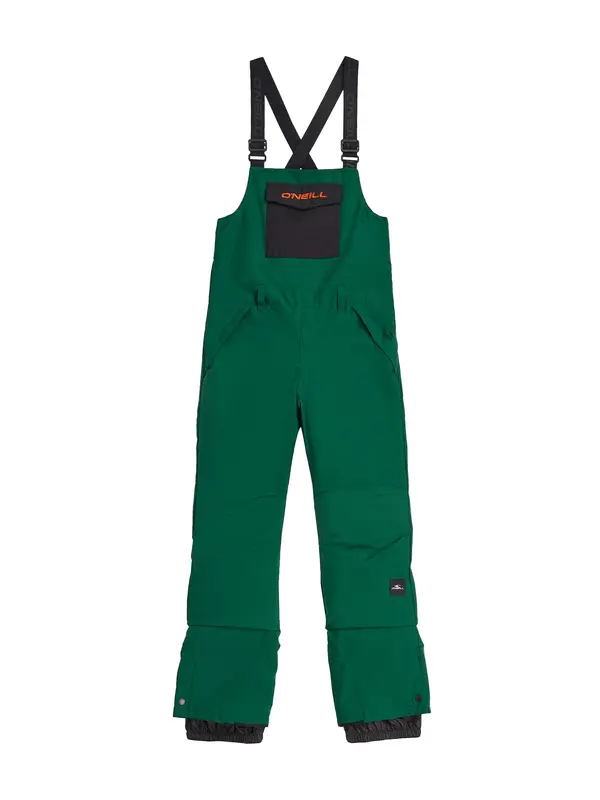 O'NEILL O'NEILL Outdoor hlače  jelka
