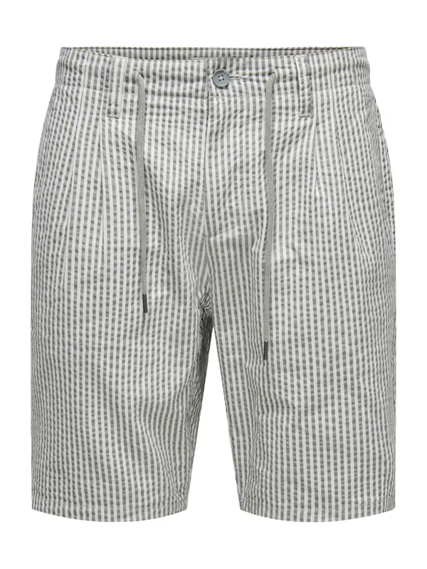 Only & Sons Only & Sons Hlače z naborki 'ONSLEO'  siva / bela