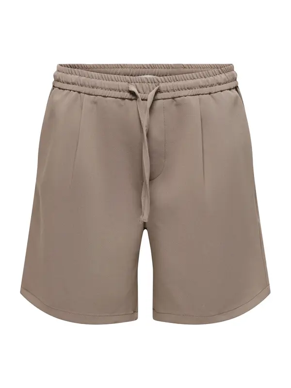 Only & Sons Only & Sons Hlače z naborki 'ONSWill'  mokka