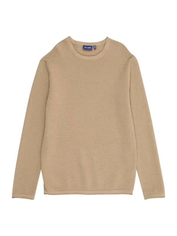 Only & Sons Junior Only & Sons Junior Pulover 'OSJPANTER'  temno bež