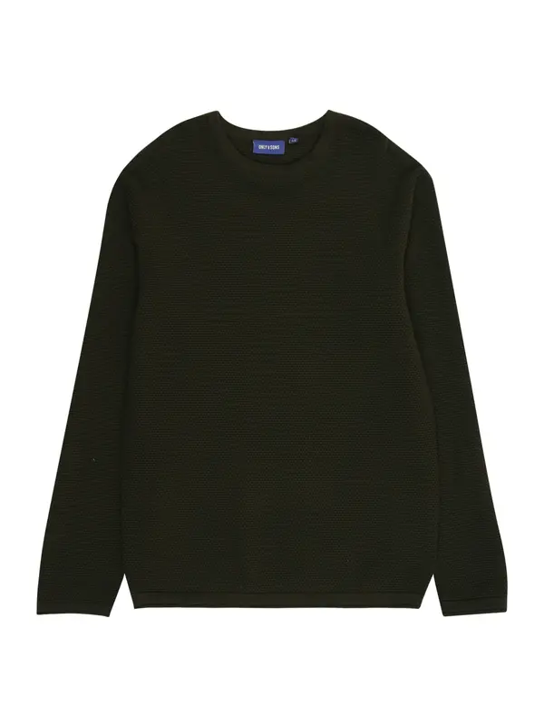 Only & Sons Junior Only & Sons Junior Pulover 'OSJPANTER'  temno zelena