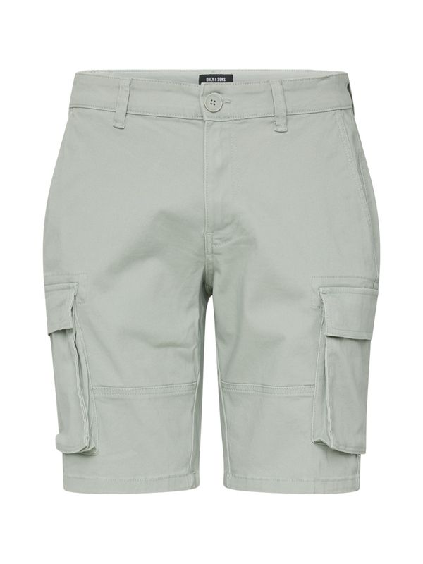 Only & Sons Only & Sons Kargo hlače 'CAM STAGE'  pastelno zelena