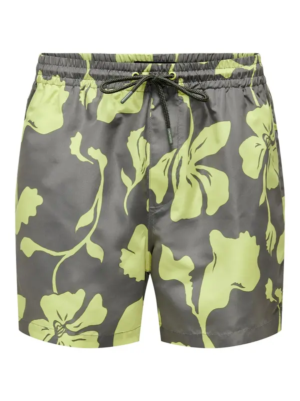 Only & Sons Only & Sons Kratke kopalne hlače 'Ted Life'  temno siva / jabolko