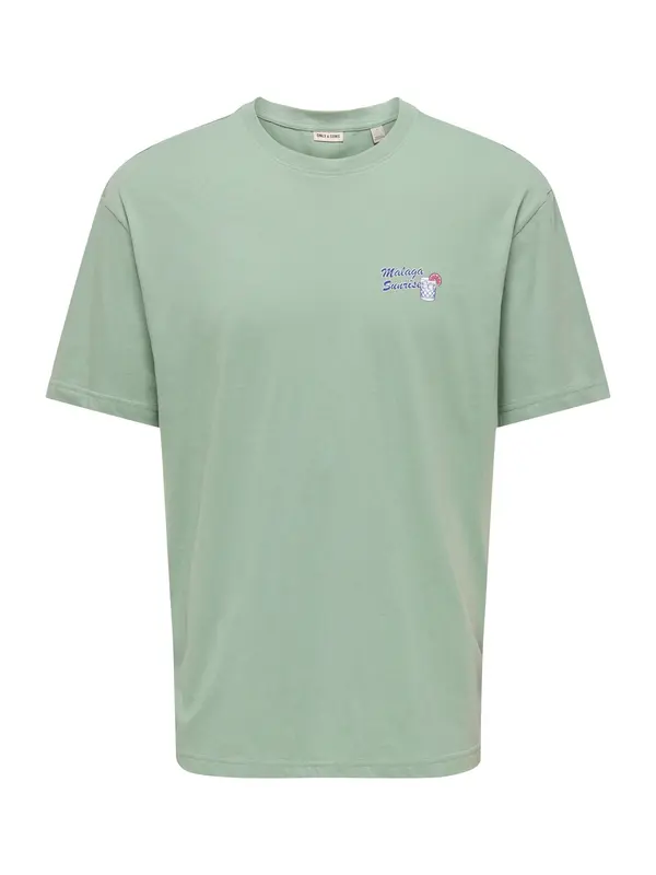 Only & Sons Only & Sons Majica 'ONSPOPSICELLO'  pastelno zelena / oranžno rdeča / bela