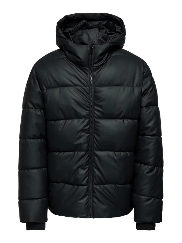 Only & Sons Only & Sons Zimska jakna 'ONSMICHAEL'  črna