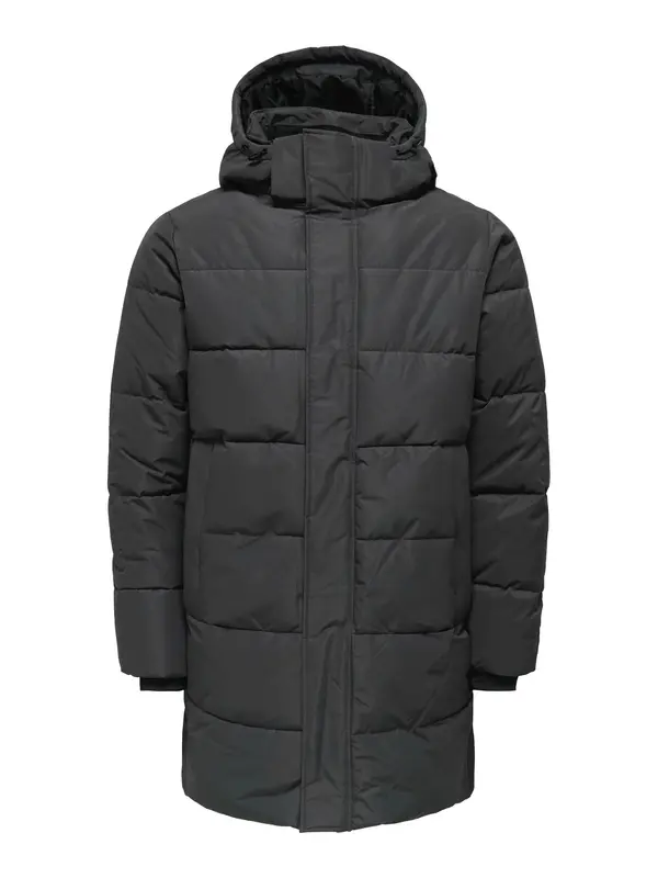 Only & Sons Only & Sons Zimski plašč 'ONSCarl'  temno siva