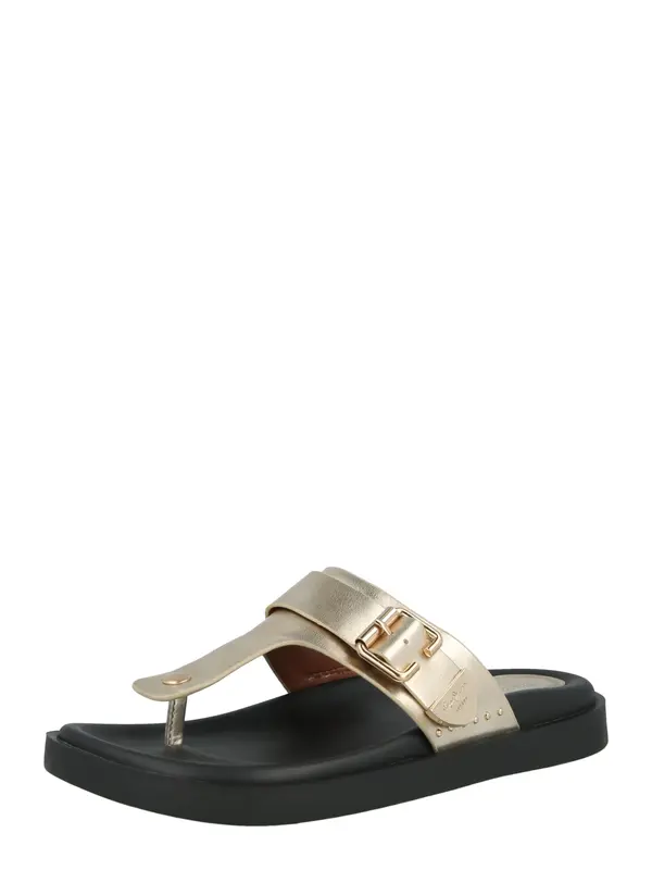 Pepe Jeans Pepe Jeans Japonke 'SADE'  zlata
